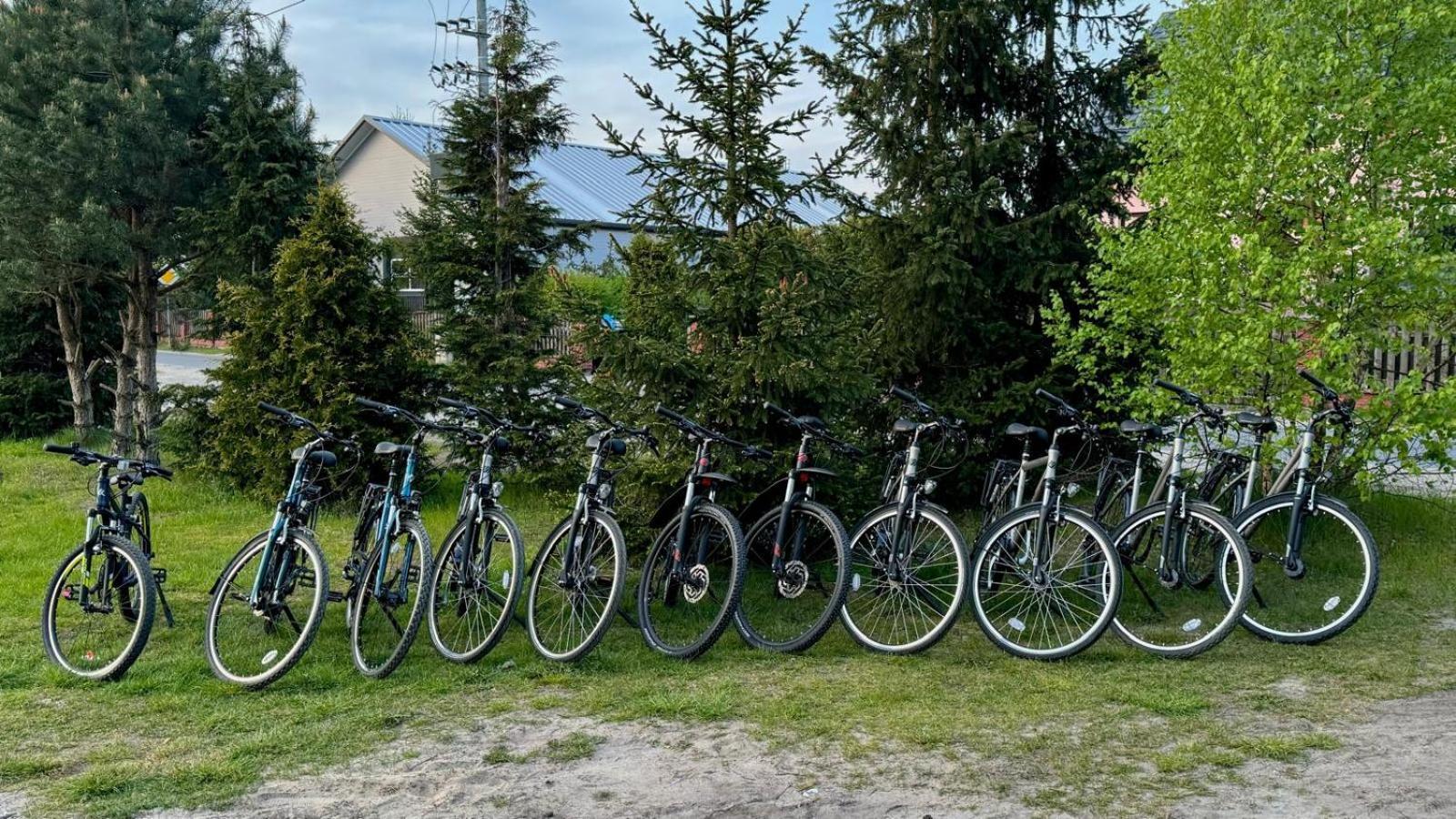 Domki Wypoczynkowe Las Śliwice Exterior foto