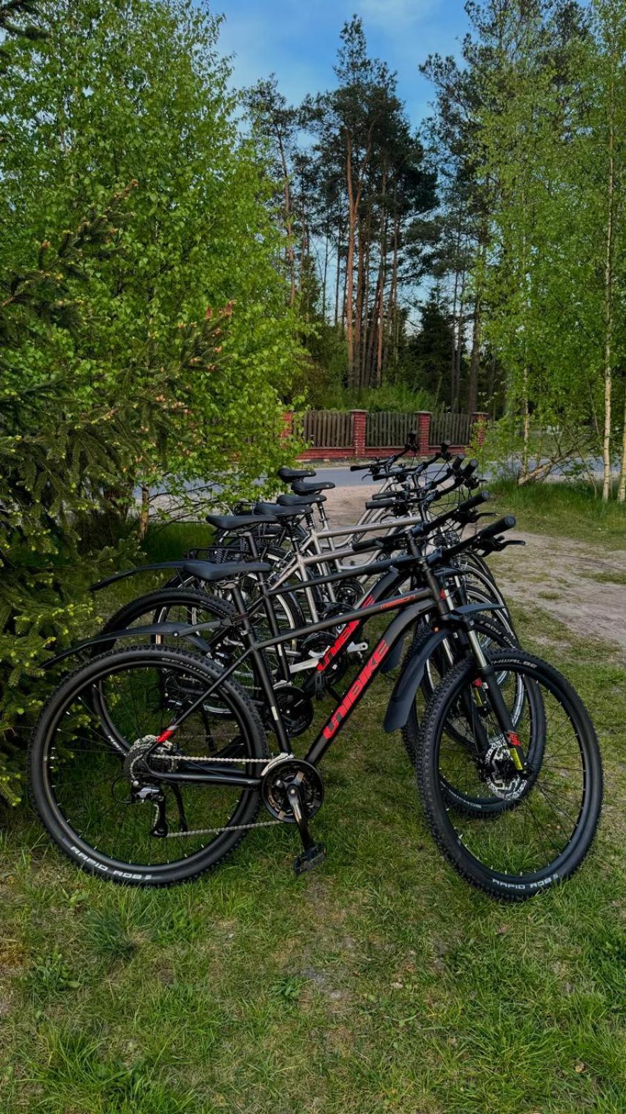 Domki Wypoczynkowe Las Śliwice Exterior foto